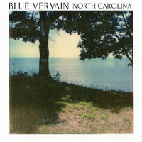Blue Vervain - North Carolina