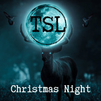 TSL - Christmas Night (feat. Peter Klett)