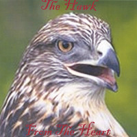 The Hawk - From The Heart