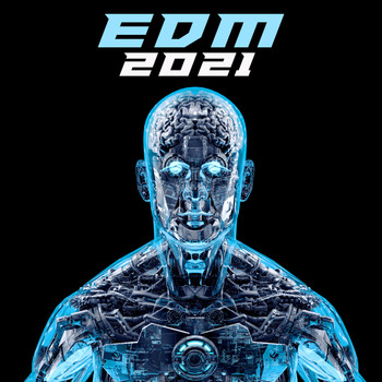Various Artists - EDM 2021