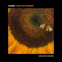 CXSMO - High For Tonight