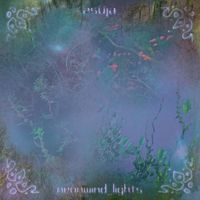 ZSÜJA - neonwind lights