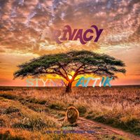 Styne - Privacy (Explicit)