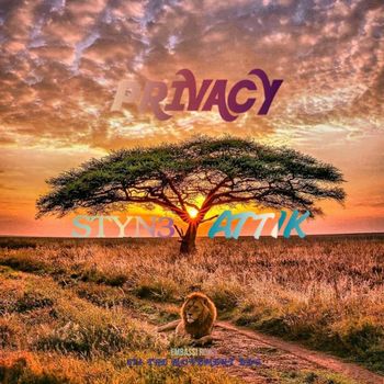 Styne - Privacy (Explicit)