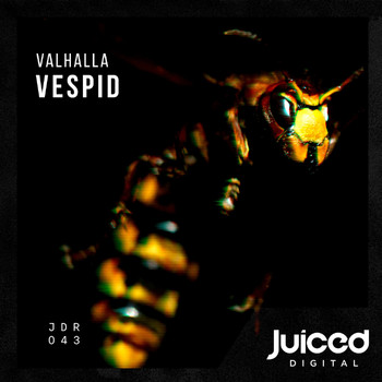 Valhalla - Vespid