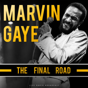 Marvin Gaye - The Final Road (live)