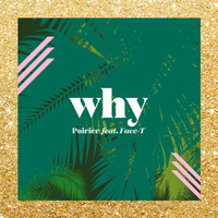 Poirier - Why