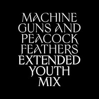 Ulver - Machine Guns and Peacock Feathers (Extended Youth Mix)