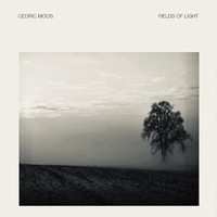 Cedric Moos - Fields of Light