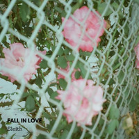 Sleith / - Fall in Love