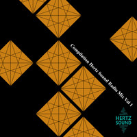 DMITRY HERTZ - Compilation Hertz Sound (Radio Mix Vol 1)
