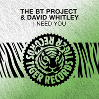 The BT Project & David Whitley - I Need You