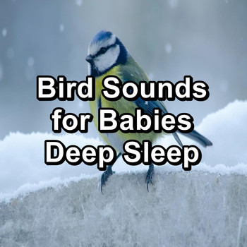 Nature Sounds - Bird Sounds for Babies Deep Sleep