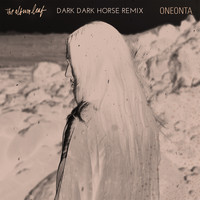 The Album Leaf - Oneonta (Dark Dark Horse Remix)