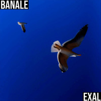 Exal - Banale