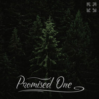 Crossroads Church - Promised One (feat. Nathan Seagraves)