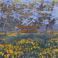 The Eternal Page - Wildflower Meadow
