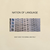 Nation of Language - What Does the Normal Man Feel?