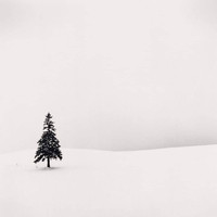 H.1 - Nothing changes: everything is different