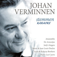 Johan Verminnen - Stemmen Karaoke (karaoke)