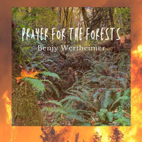 Benjy Wertheimer - Prayer for the Forests