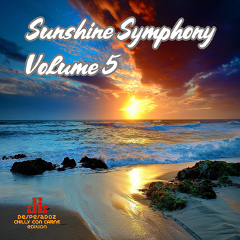 Various Artists - Sunshine Symphony, Vol.5 (SELECTED LOUNGE & CHILL HOUSE TRACKS)