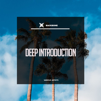Various Artists - Deep Introduction