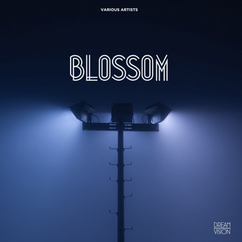 Various Artists - Blossom