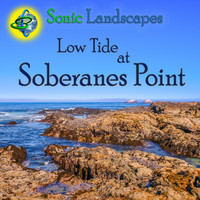 Sonic Landscapes - Low Tide at Soberanes Point