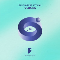 Salkin - Voices