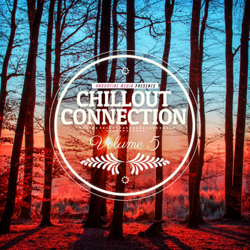 Various Artists - Chillout Connection, Vol. 5