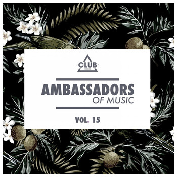 Various Artists - Ambassadors of Music, Vol. 15 (Explicit)