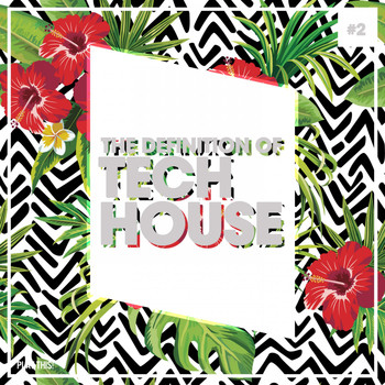 Various Artists - The Definition of Tech House, Vol. 2