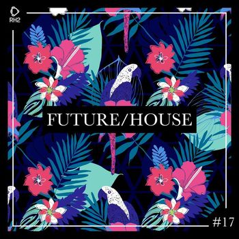 Various Artists - Future/House #17 (Explicit)