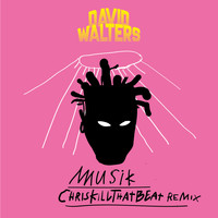David Walters - Musik (ChrisKillThatBeat Remix)