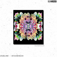 Dublink - Nyahbinghi