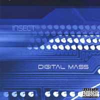 inseCT - Digital Mass