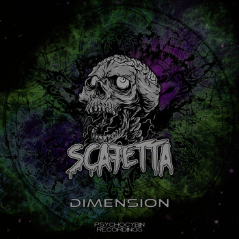 Scafetta - Dimension