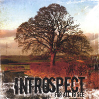 Introspect - For All To See