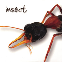 inseCT - Insect