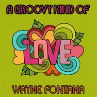 Wayne Fontana - A Groovy Kind of Love