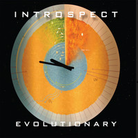 Introspect - Evolutionary