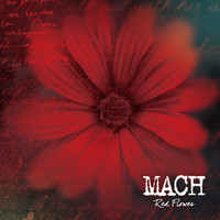 Mach - RED FLOWER