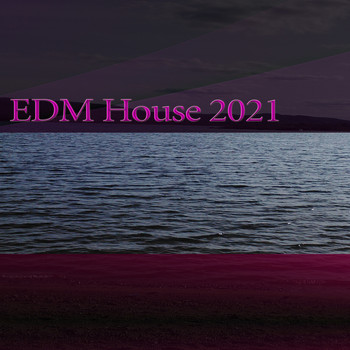 Various Artists - EDM House 2021