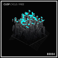Cusp - Cycle / Free