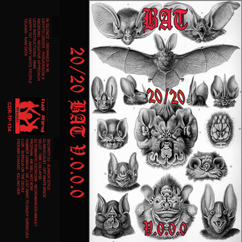 Various Artists - 20/20 Bat V.0.0.0
