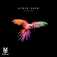 Steve Hope - Sunshine