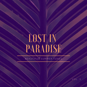 Various Artists - Lost in Paradise (Beautiful Summer Tunes), Vol. 3