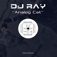 DJ Ray - Analog Cat