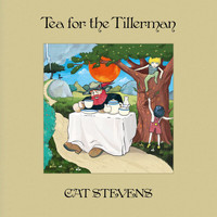 Cat Stevens - Tea For The Tillerman (Super Deluxe)